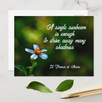 Daisy in Shadows St Francis of Assisi Quote