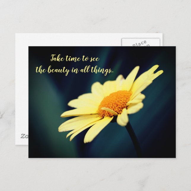 Daisy Inspirational Appreciate Beauty  Postcard (Front/Back)