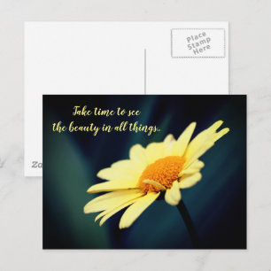 Daisy Inspirational Appreciate Beauty  Postcard