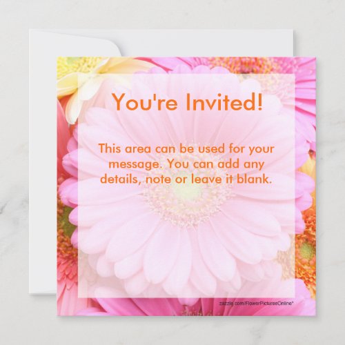 Daisy Invitations - Pink Gerber Daisy