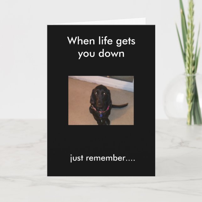 daisy, just remember...., When life gets you down Card (Front)