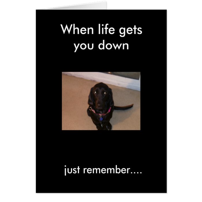 daisy, just remember., When life gets you down Greeting Card