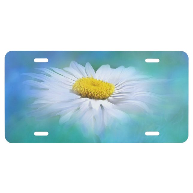 Daisy License Plate (Front)