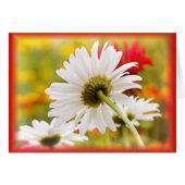 Daisy Light (Front Horizontal)