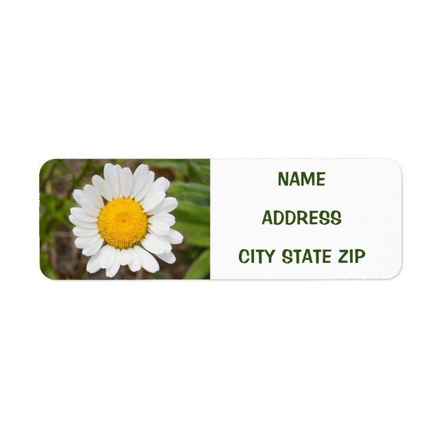 **DAISY LOVER'S** ADDRESS LABEL (Front)