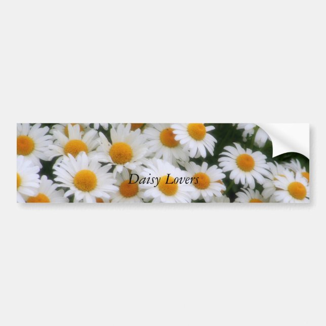 , Daisy Lovers Bumper Sticker (Front)