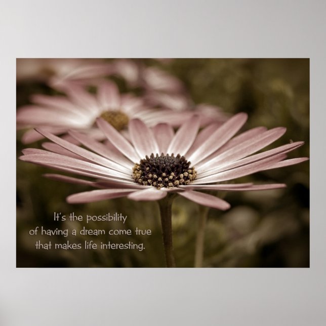 Daisy Macro Poster (Front)