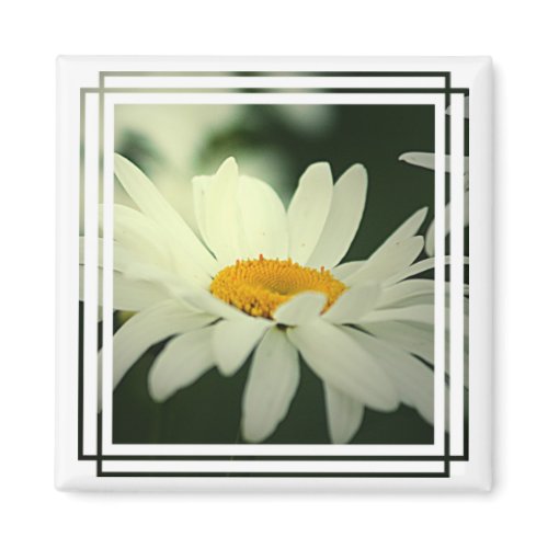 Daisy Magnet