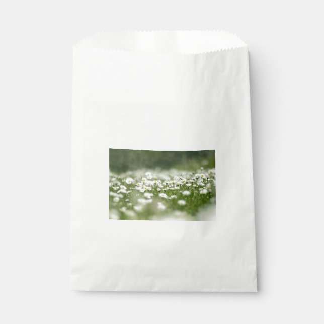 Daisy Meadow Favor Bag (Front)