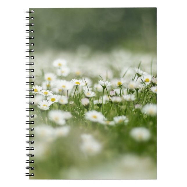 Daisy Meadow Notebook (Front)