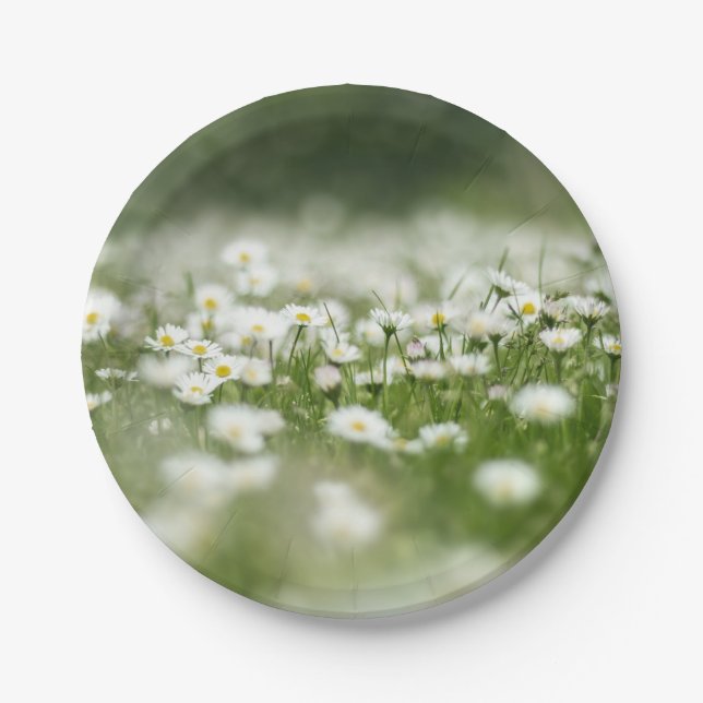 Daisy Meadow Paper Plates (Front)