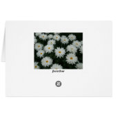 Daisy Mums Cards (Back Horizontal)