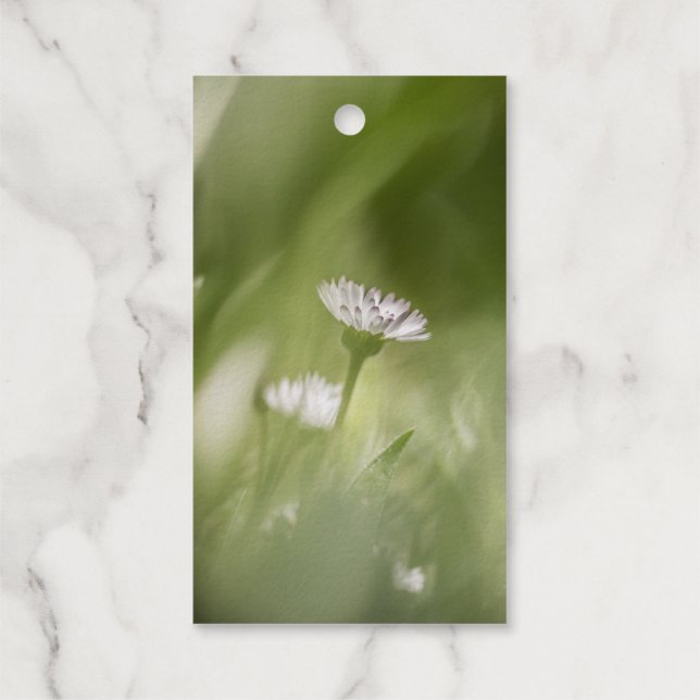 Daisy nature photo foil gift tags (Back)