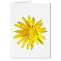 Daisy Note - Blank for your personalization