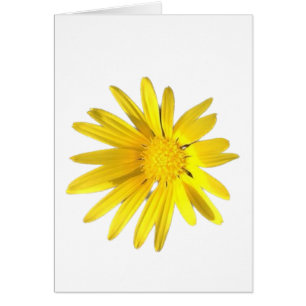 Daisy Note - Blank for your personalization Cards