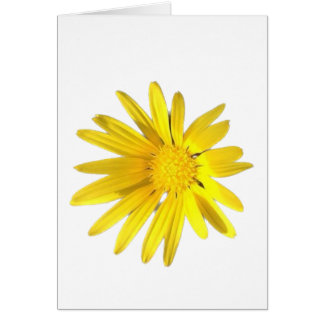 Daisy Note - Blank for your personalization Cards