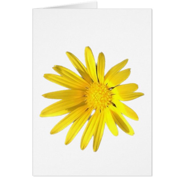 Daisy Note - Blank for your personalization Cards (Front)