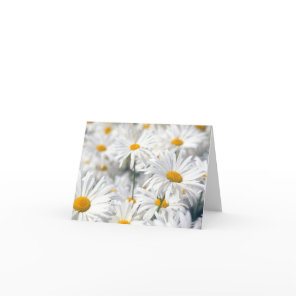 Daisy Note Cards