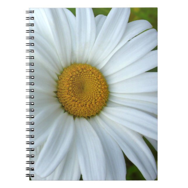 Daisy Notebook Classic Daisy Journals Flower Gifts (Front)