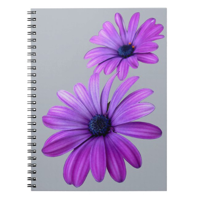Daisy Notebook Purple Daisy Journals Gifts (Front)