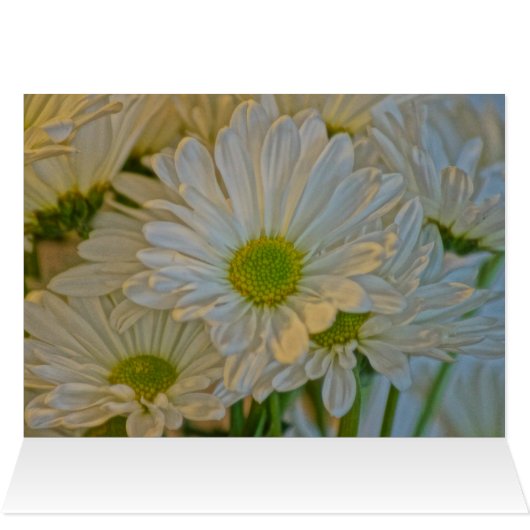 Daisy Notes (Inside Horizontal (Top))