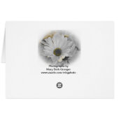 Daisy Notes (Back Horizontal)