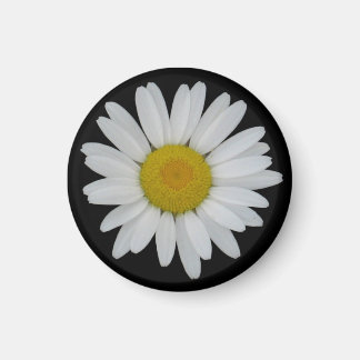 Daisy On Black Magnet