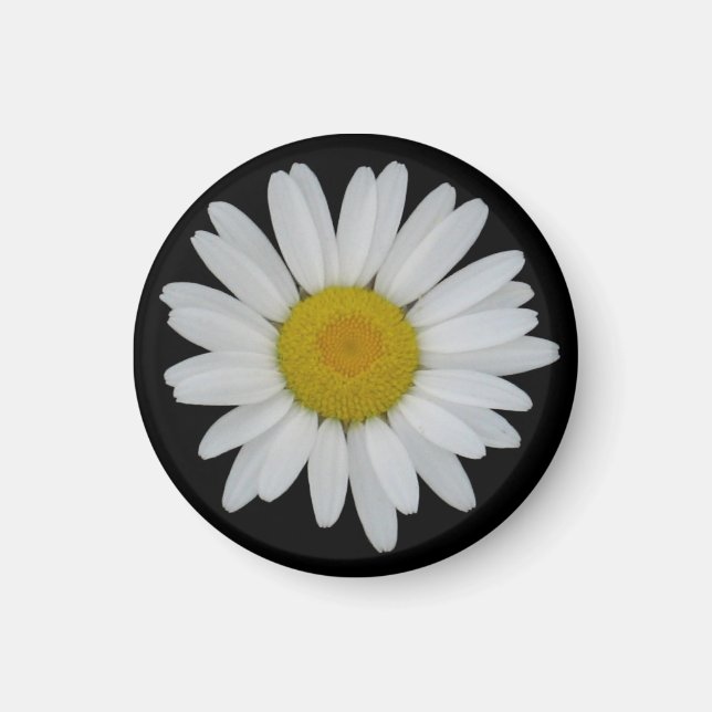 Daisy On Black Magnet (Front)