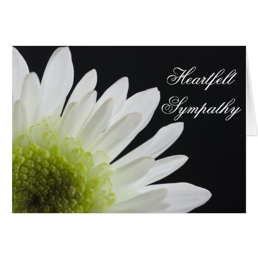 Daisy on Black Sympathy Greeting Card | Zazzle