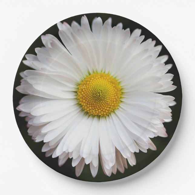 Daisy Paper Plates (Front)