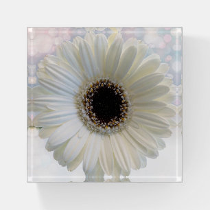 Daisy Paperweight