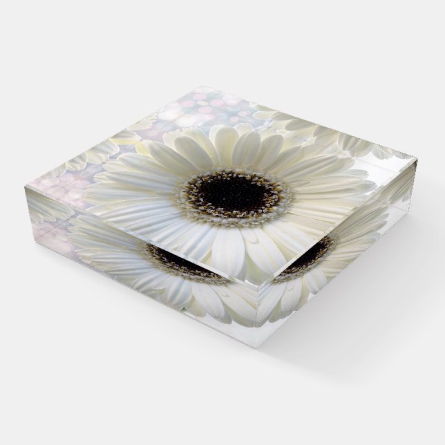 Daisy  paperweight (Angled)