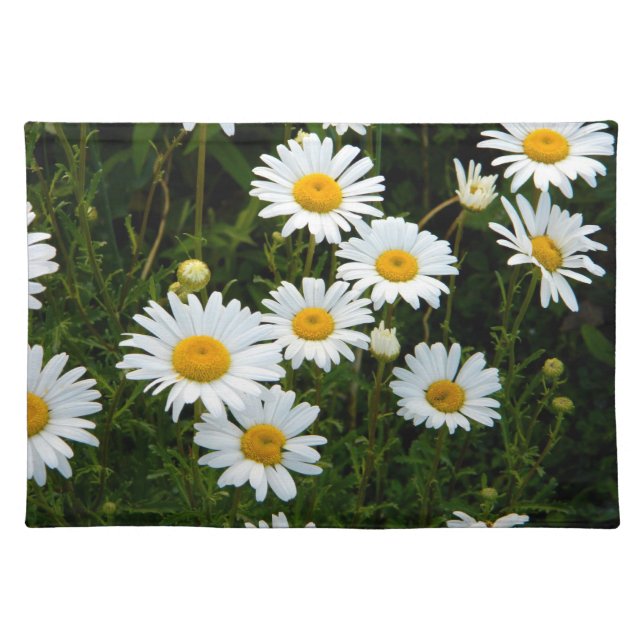 Daisy Path Placemat (Front)