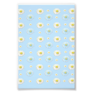 Daisy Pattern on light blue background Photo Print