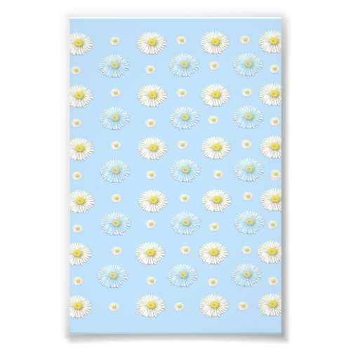 Daisy Pattern on light blue background  Photo Print