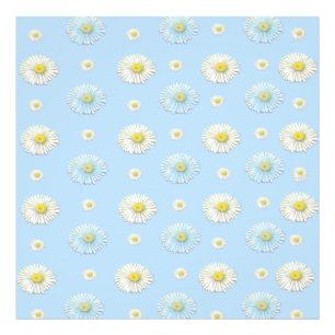 Daisy Pattern on light blue background   Photo Print
