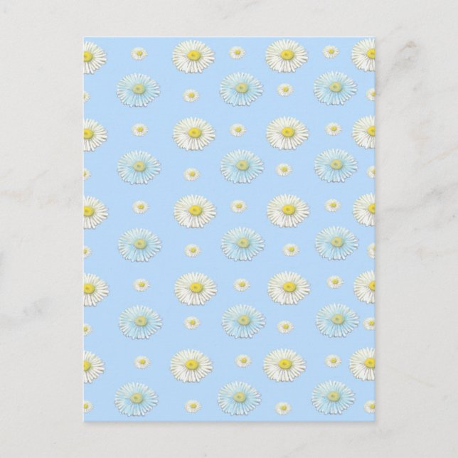 Daisy Pattern on light blue background  Postcard (Front)