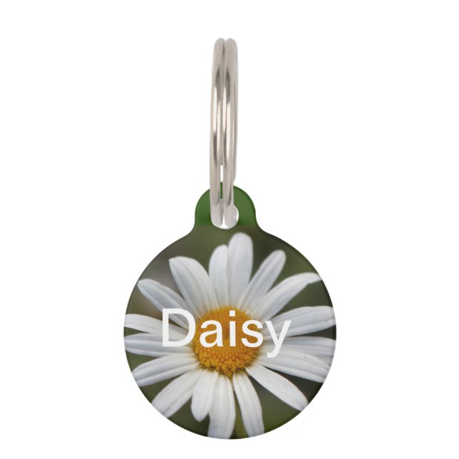Daisy Pet ID Tag (Front)