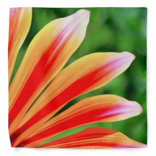 Daisy Petals Bandana