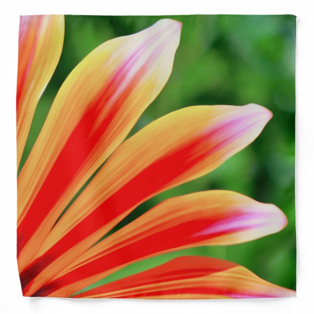 Daisy Petals Bandana (Front)