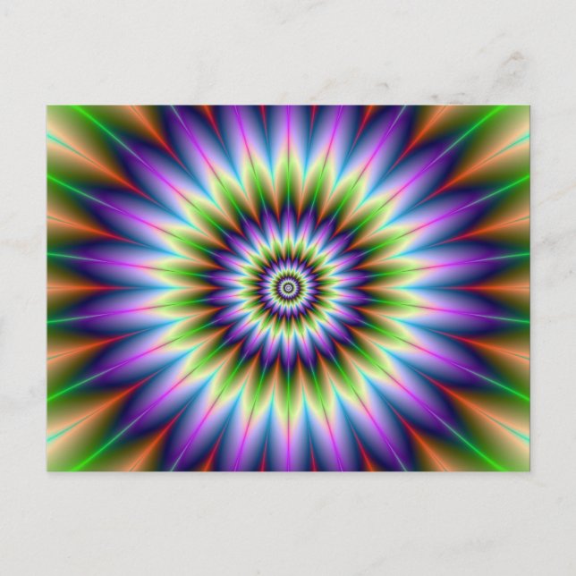Daisy Petals Post Card (Front)