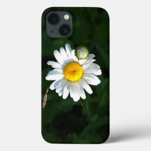 Daisy Photo iPhone 6/6s, Tough Xtreme iPhone 13 Case