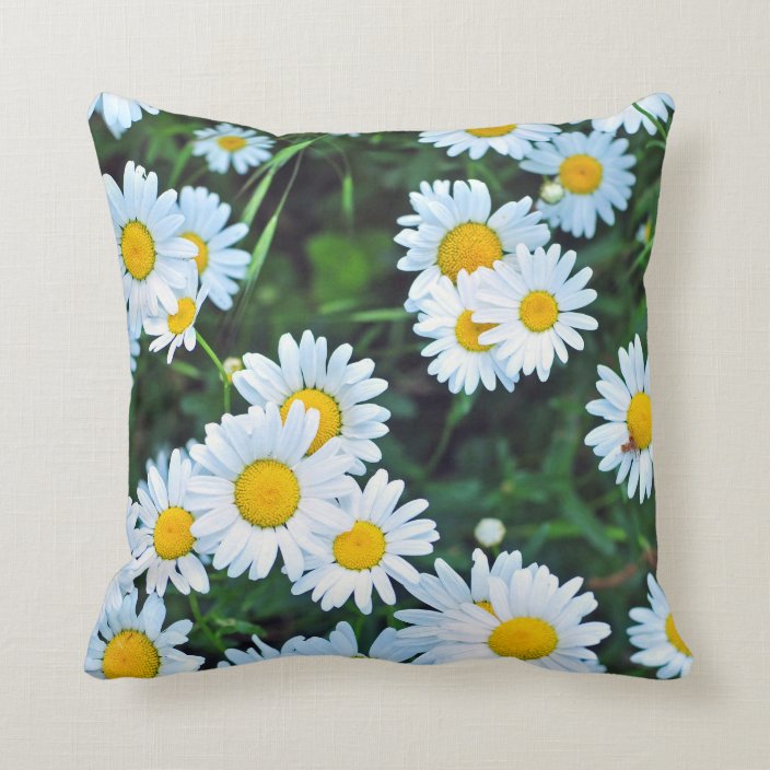 daisy duck pillow