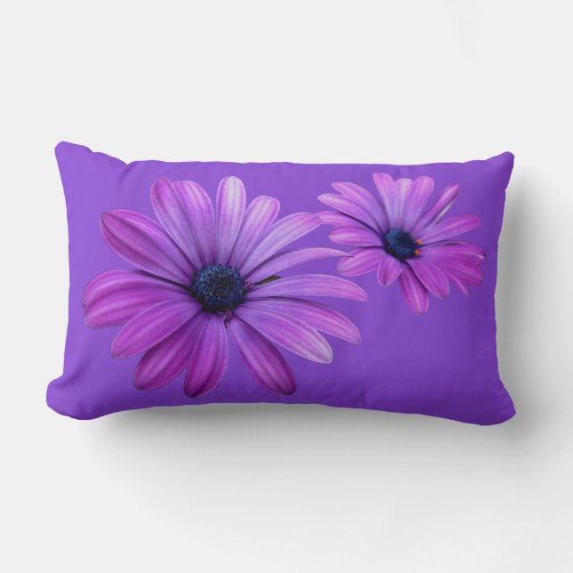 Daisy Pillows Blue Daisies Pillows Flower Decor (Front)