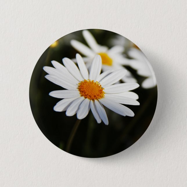 Daisy Pinback Button (Front)