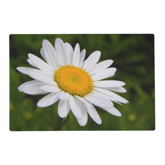 Daisy Placemat (Back)