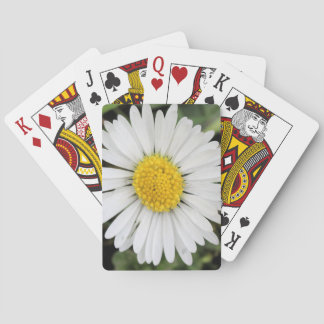 Daisy Poker Cards