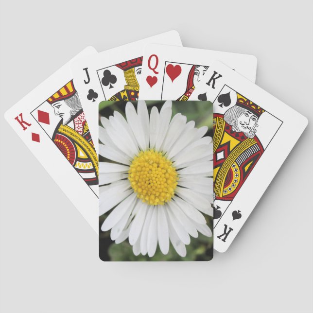 Daisy Poker Cards (Back)