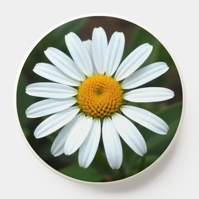 Daisy Pop Grip (Popsocket)