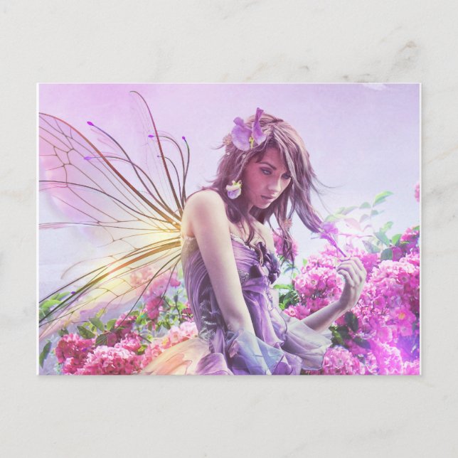 Daisy Post Card (Front)